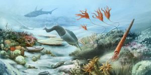 حقبة الحياة القديمة paleozoic