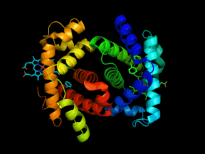 البروتينات (ملخص عن البروتينات)