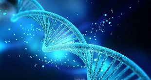 اليوم العالمي للـ DNA