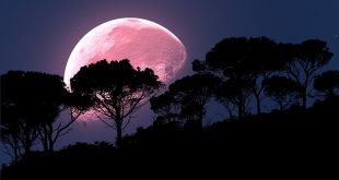 كيف ترى القمر الوردي الخارق الليلة، أكبر اكتمال القمر لعام 2020