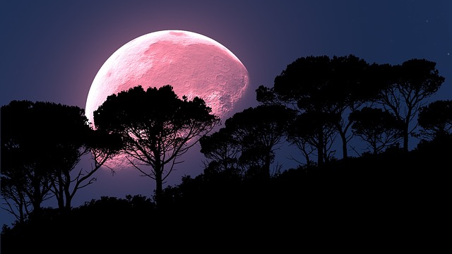 كيف ترى القمر الوردي الخارق الليلة، أكبر اكتمال القمر لعام 2020