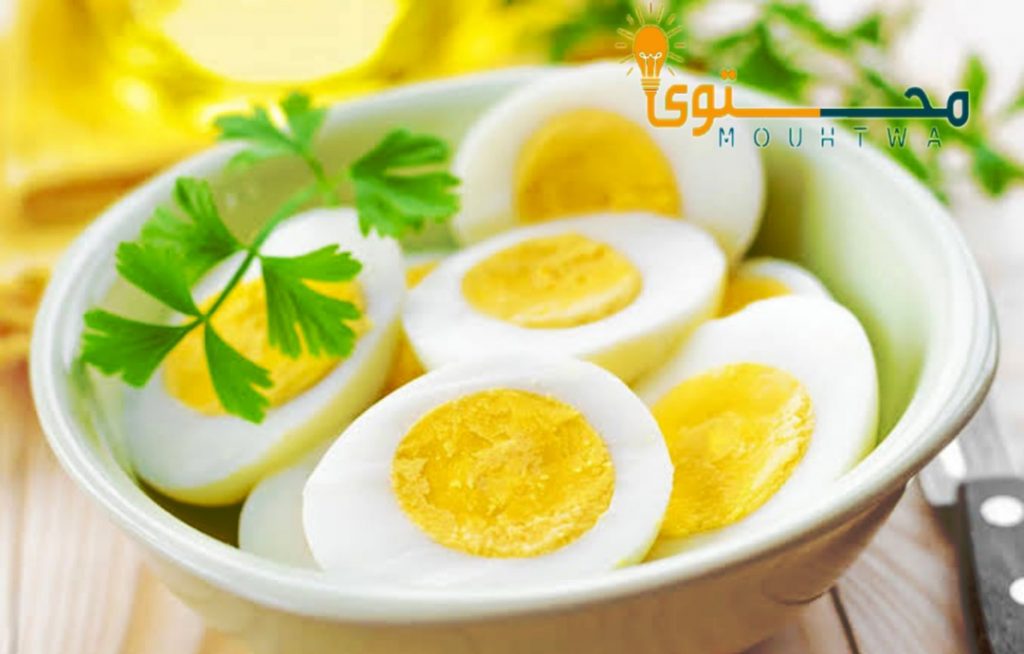 البيض مصدر بروتين مهم من أجل زيادة الكتلة العضلية 