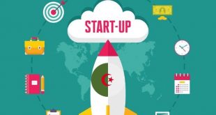 لماذا تتعثر الشركات الناشئة Startups في الجزائر